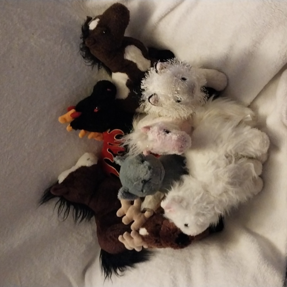 Webkins